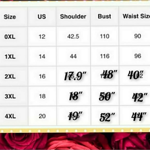 V-neck Plus sz 16 18 20 baby doll Lace blouse - Picture 9 of 16